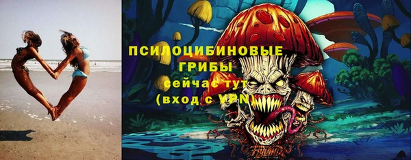 бошки Беломорск