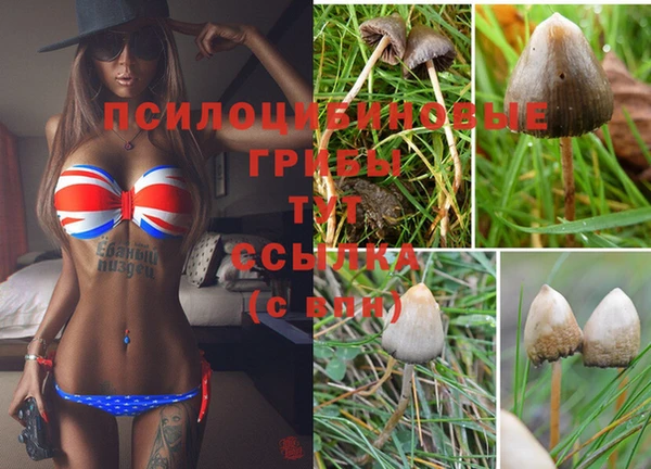 марихуана Белокуриха