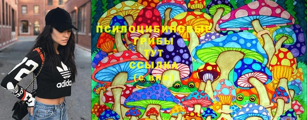 бошки Беломорск