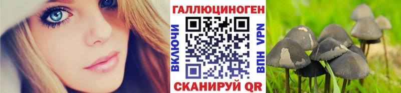 Псилоцибиновые грибы мухоморы  купить наркотик  Щучье 